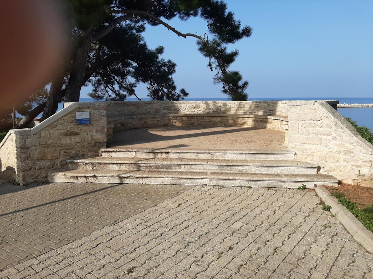 Апартаменти Medo Novigrad  Екстер'єр фото